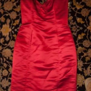 COPY - Milly Strapless Red Dress With Red fur wrap